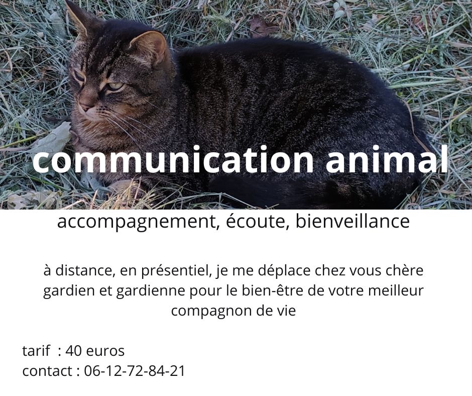 pourquoi la communication animal ?